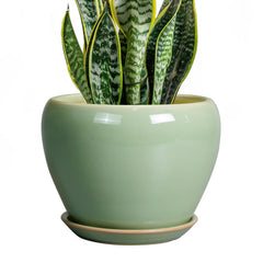 Ceramicfor 8 Inch Plant Pot front view in reactive green