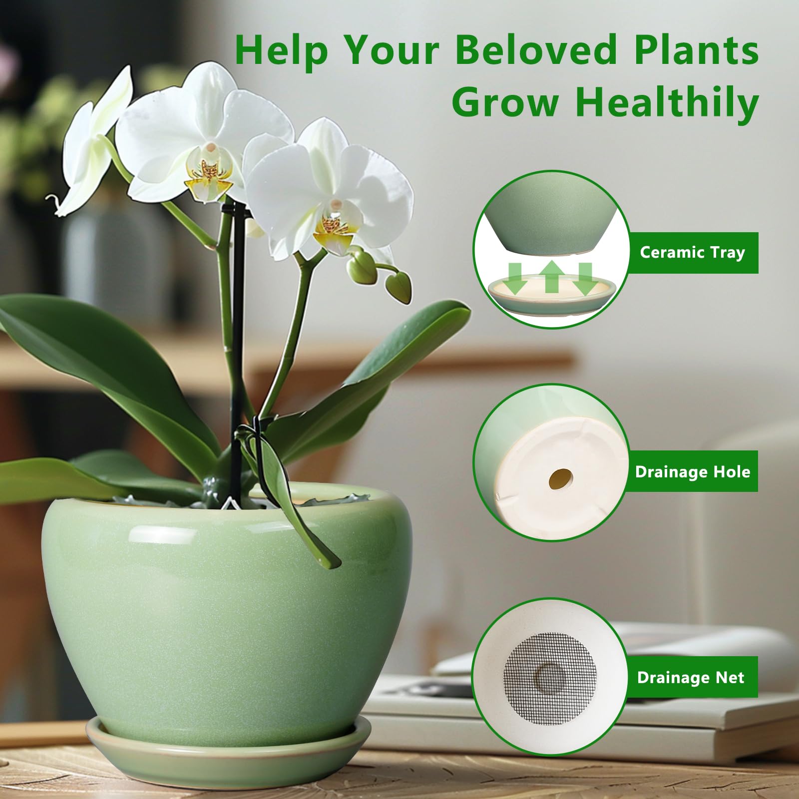 Ceramicfor 8 Inch Plant Pot in a garden setting