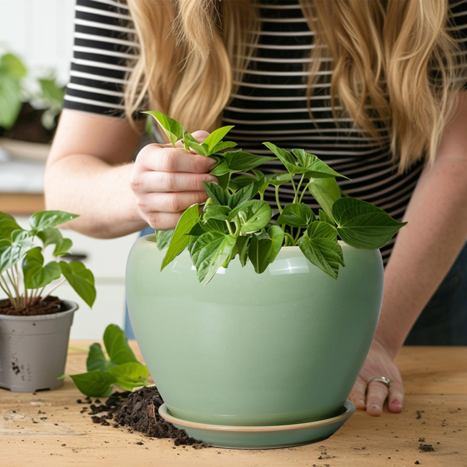 Ceramicfor 8 Inch Plant Pot on a coffee table in a living room