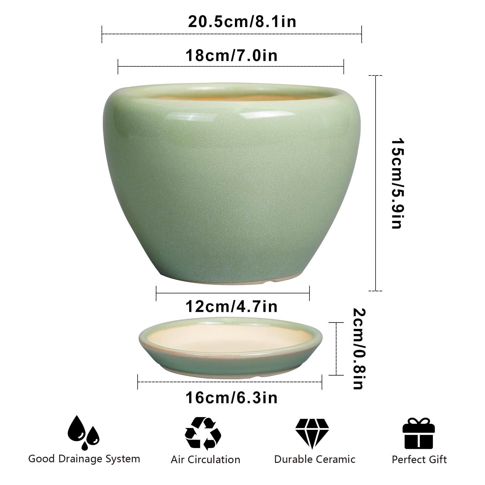 Ceramicfor 8 Inch Plant Pot side view showcasing its modern design