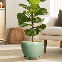 Ceramicfor 8 Inch Plant Pot with saucer and drainage net