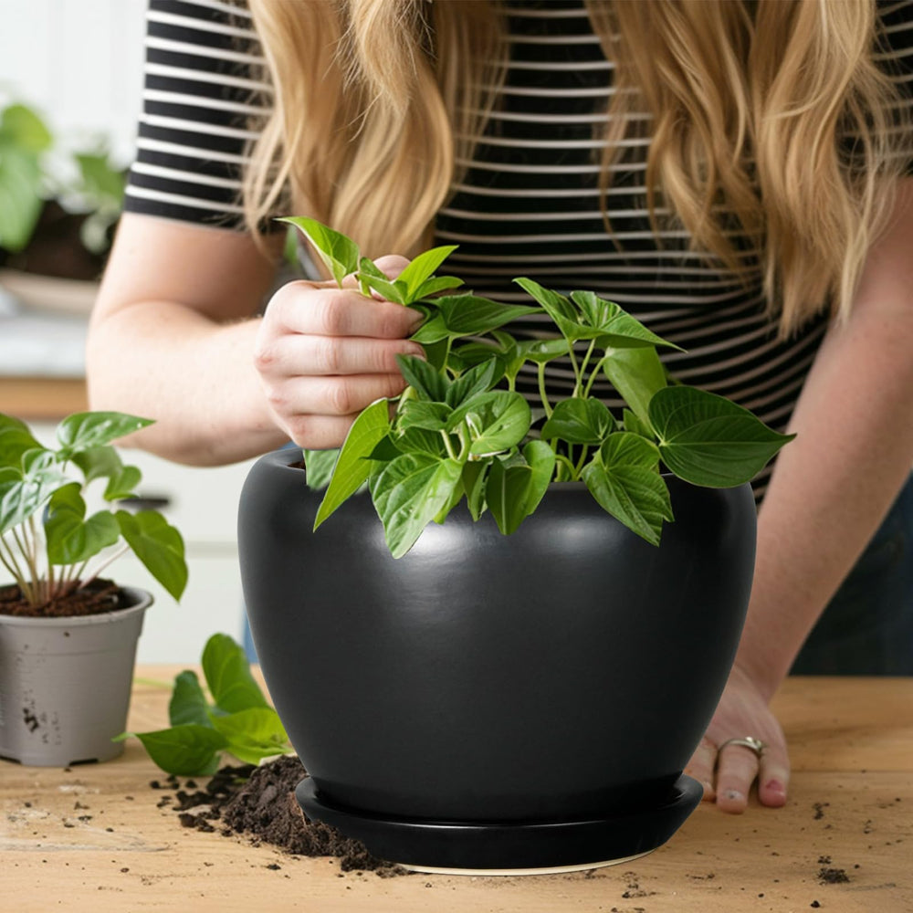 Ceramicfor 8 Inch Planter Pot on a table with plants