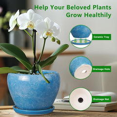 Ceramicfor Ceramic Planter Pot with succulent inside