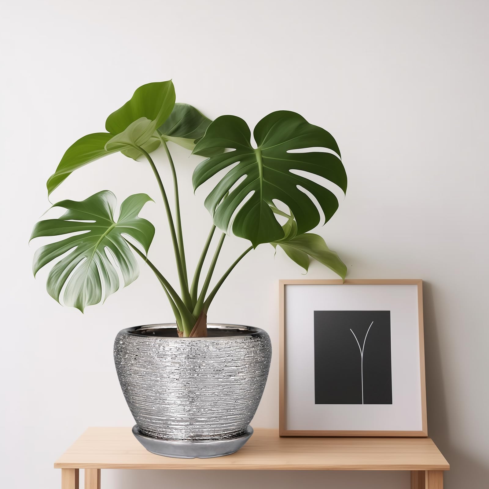 Ceramicfor Ceramic Planter with Drainage Hole and Saucer