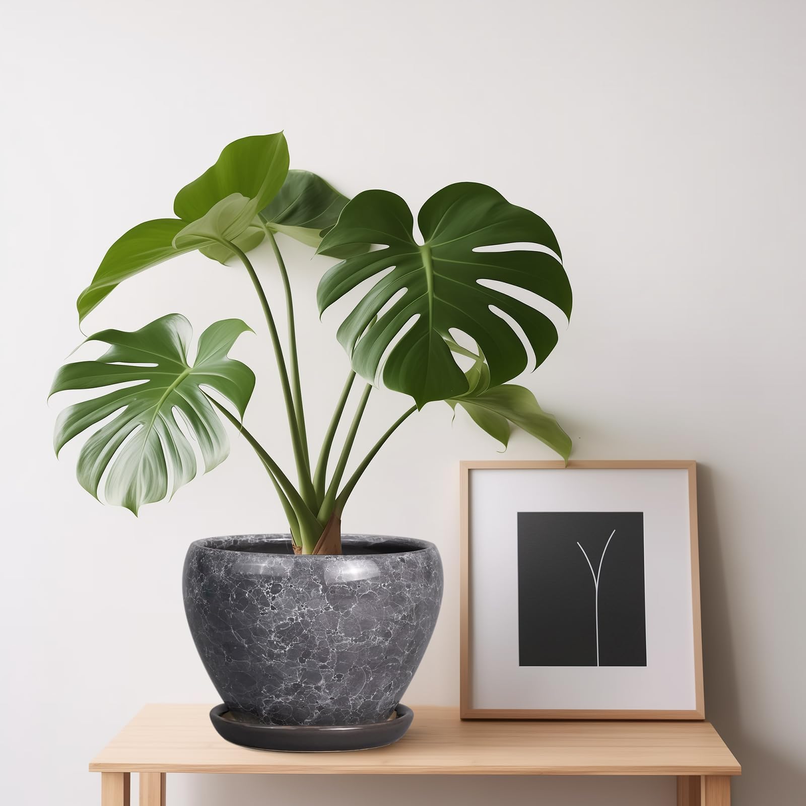 Ceramicfor ceramic planter with succulent plant inside