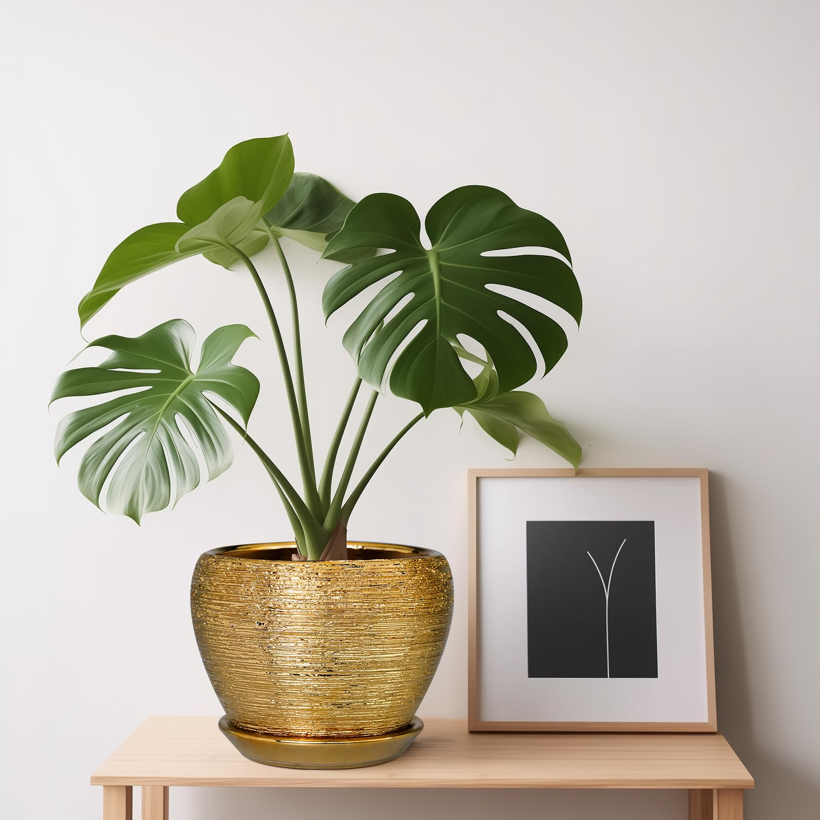 Ceramicfor plant pot with saucer and herbs