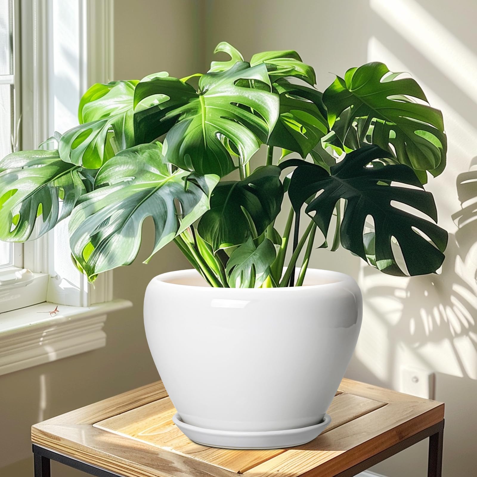 Ceramicfor planter on a table with houseplants