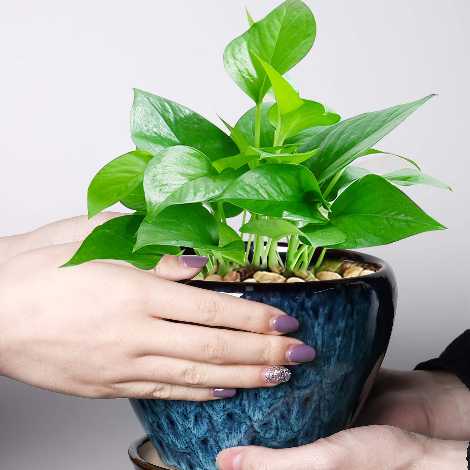 Ceramicfor Planter Pot with herbs on a windowsill