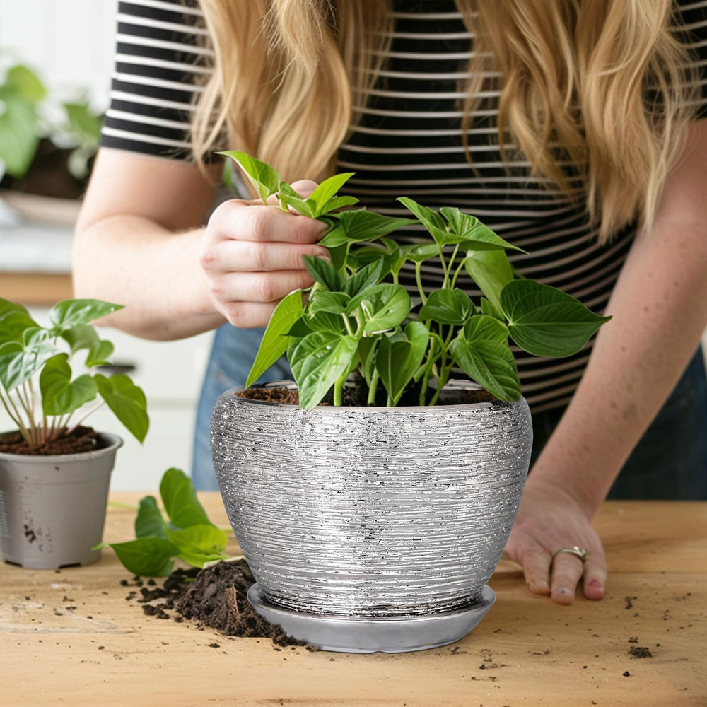 Ceramicfor Planter with Decorative Cactus Display