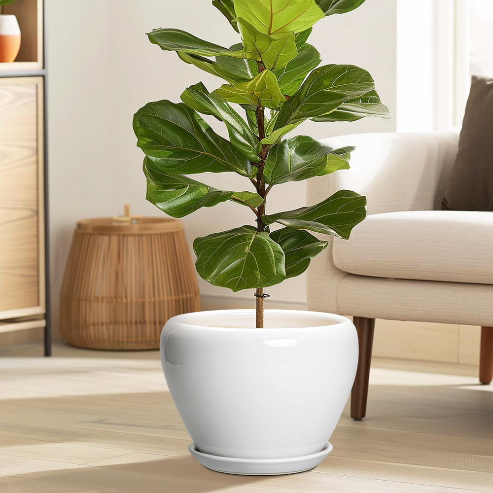 Ceramicfor planter with drainage hole and saucer