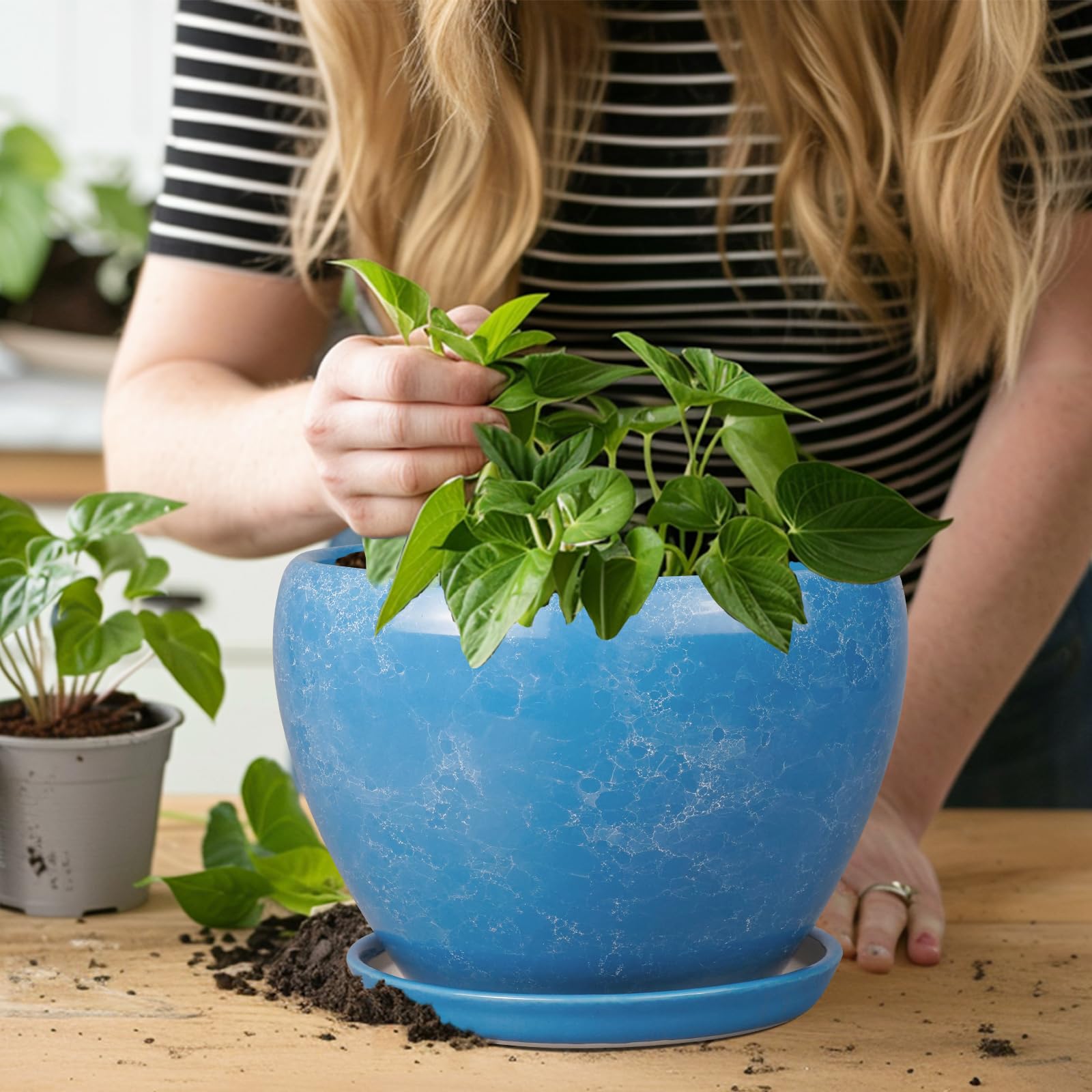 Ceramicfor planter with succulent plants