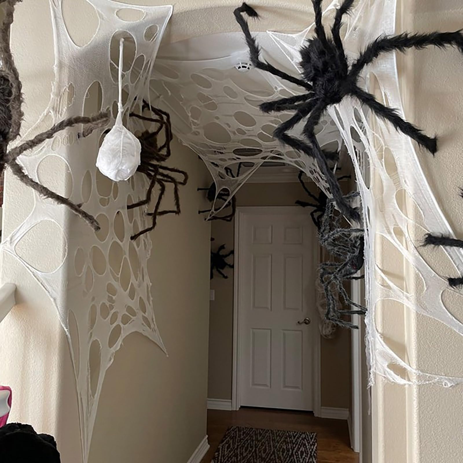 CESOF spider web pack with dimensions and features
