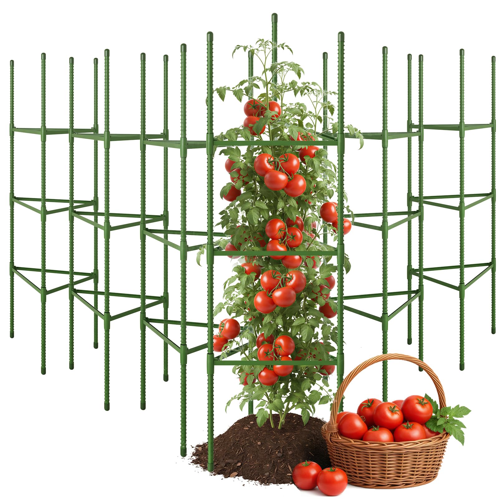 CEWOR 6 pack tomato cage green model front view