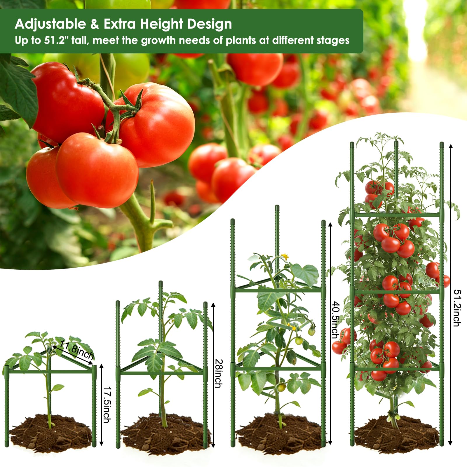 CEWOR Tomato Cage multi-purpose trellis for climbing plants