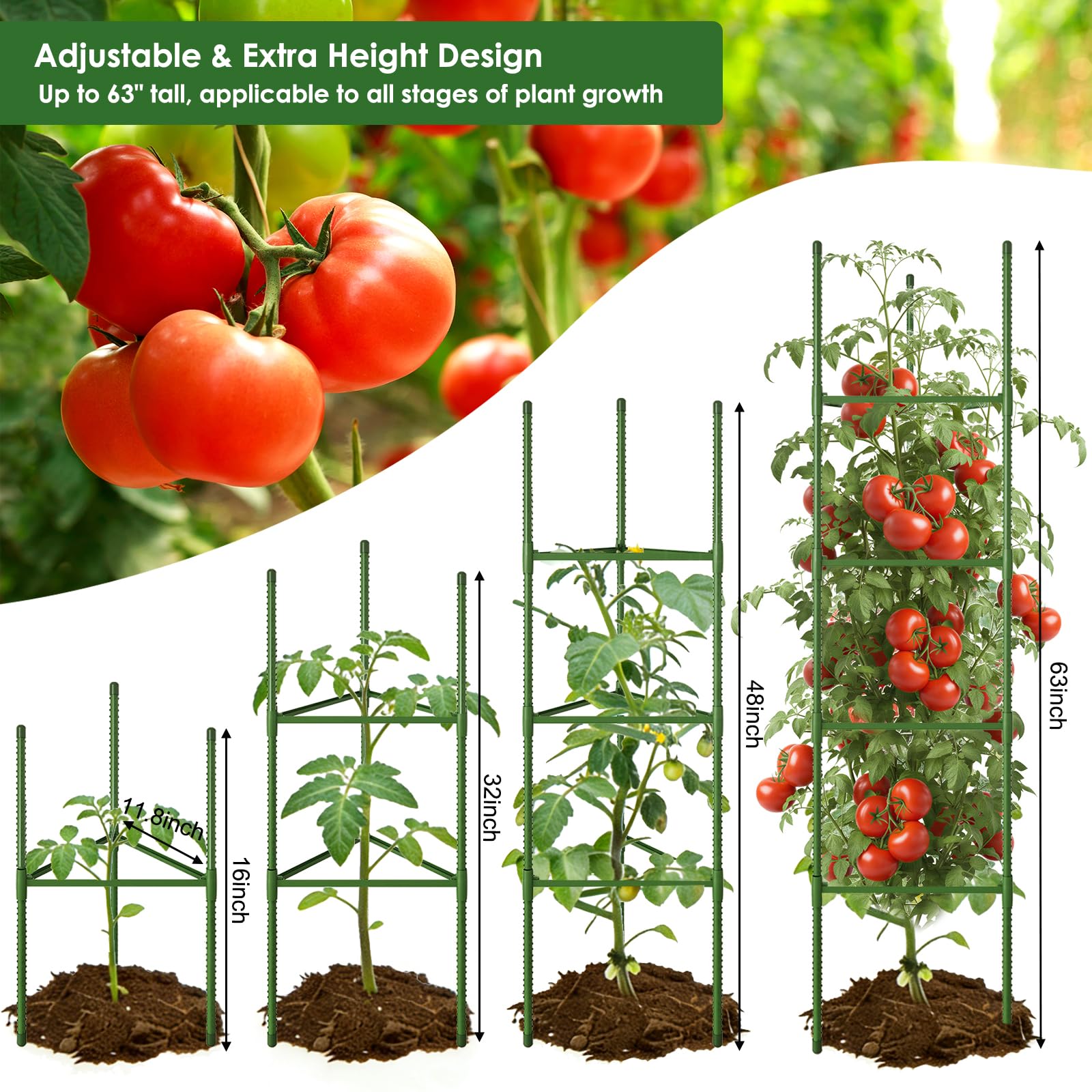 CEWOR tomato cage showing adjustable height feature