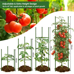 CEWOR tomato cage showing adjustable height feature