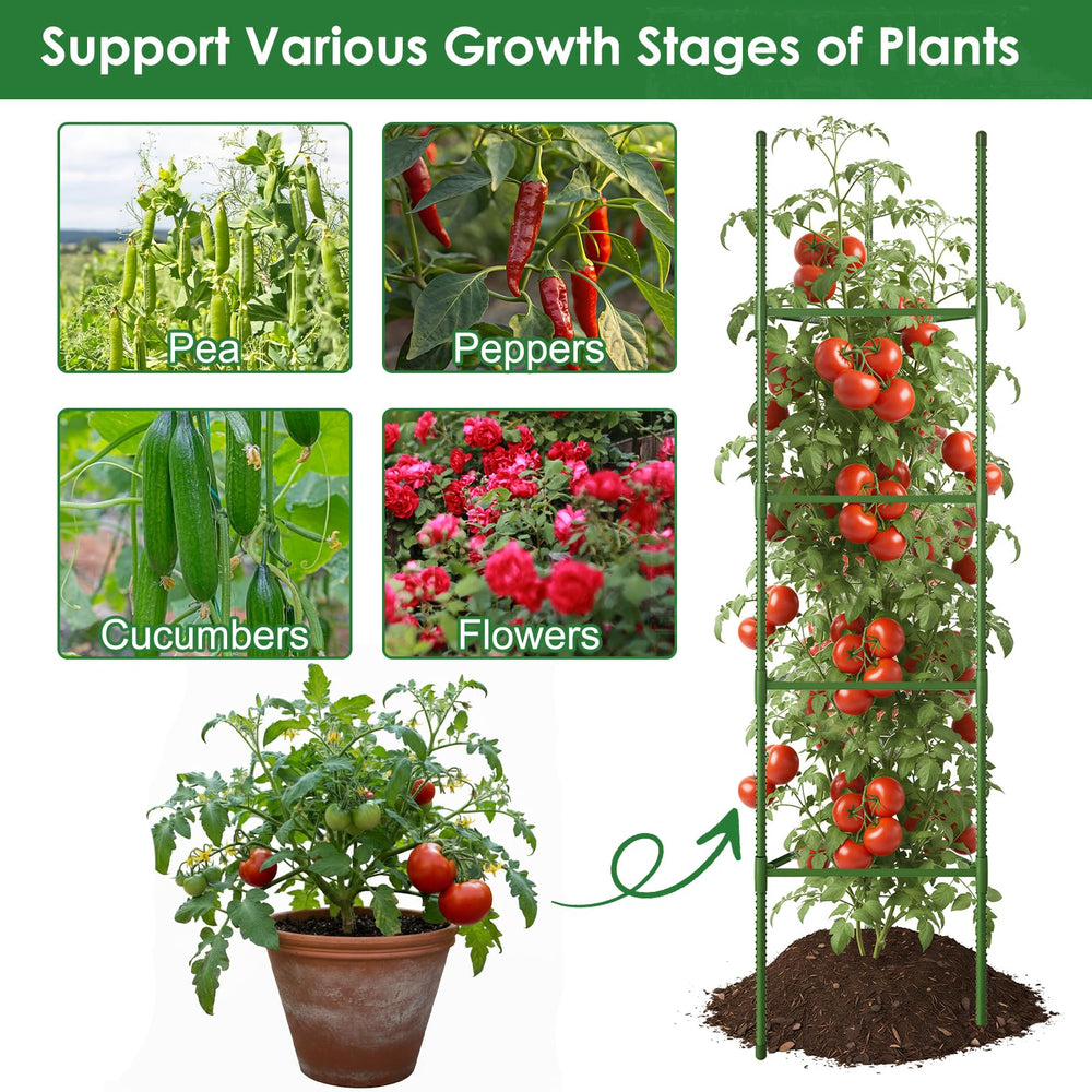 CEWOR tomato cages set up in raised garden bed