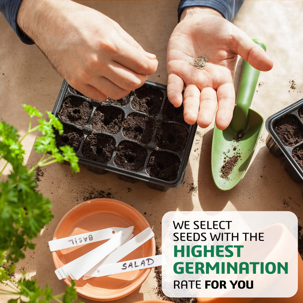 Chamomile seed packet from Meekear Herb Growing Kit