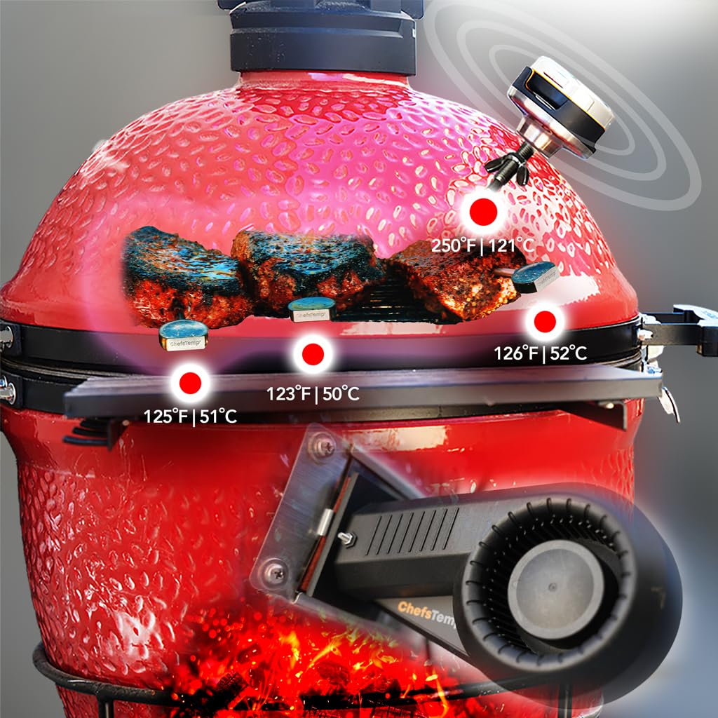 ChefsTemp ProTemp S1 in use during a barbecue