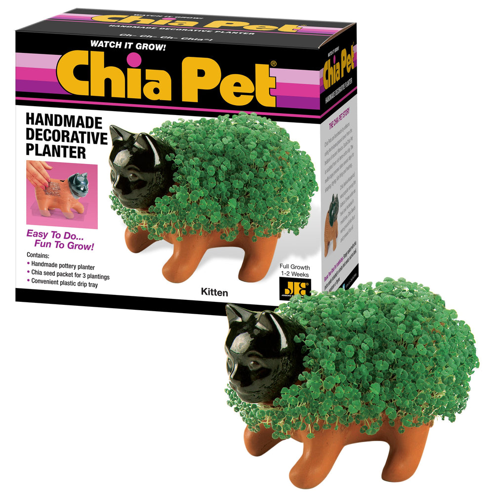 Chia Classic Kitten Planter terracotta with chia seeds