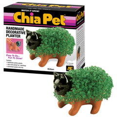 Chia Classic Kitten Planter terracotta with chia seeds