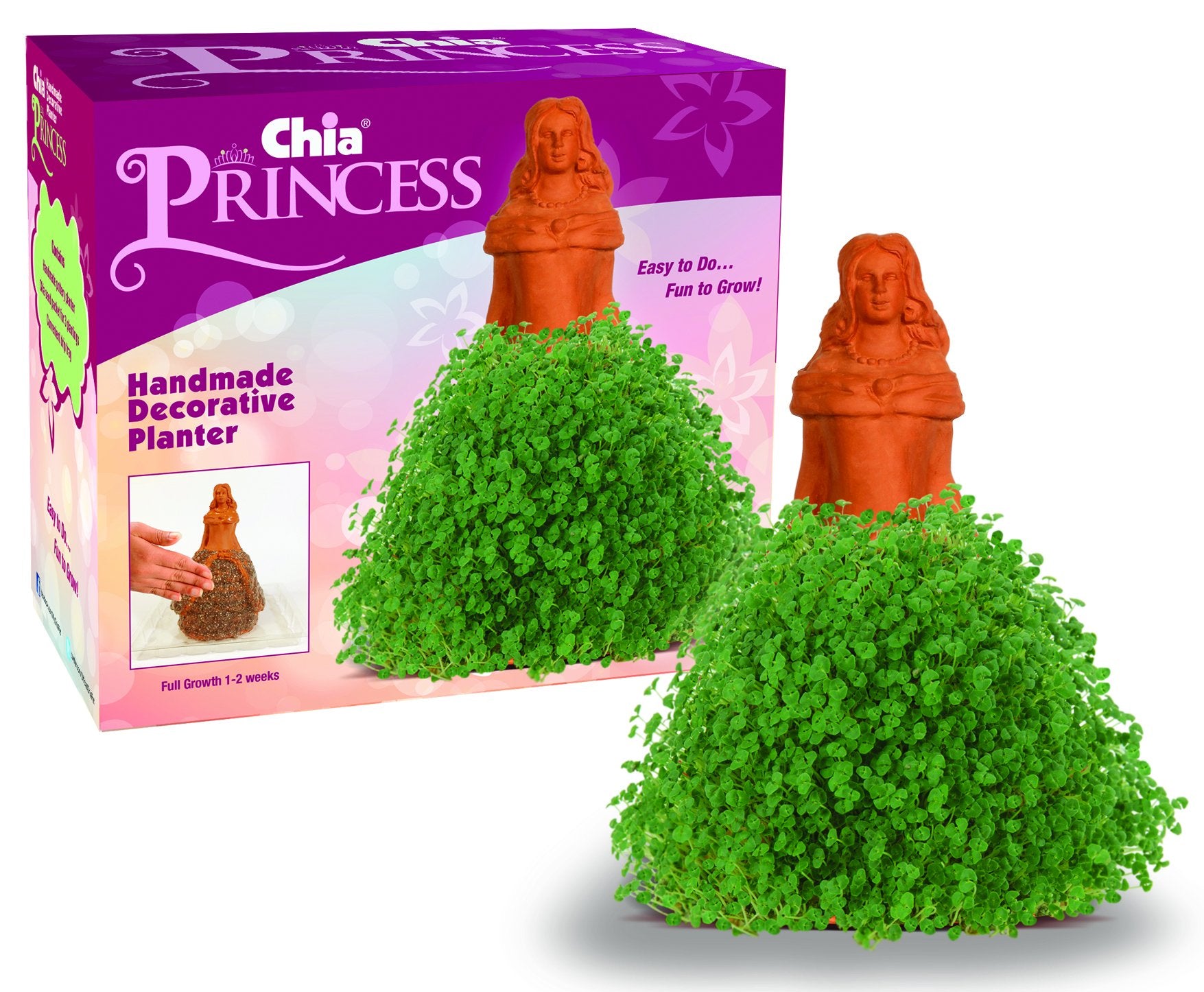 Chia Classic Princess Terracotta Planter front view