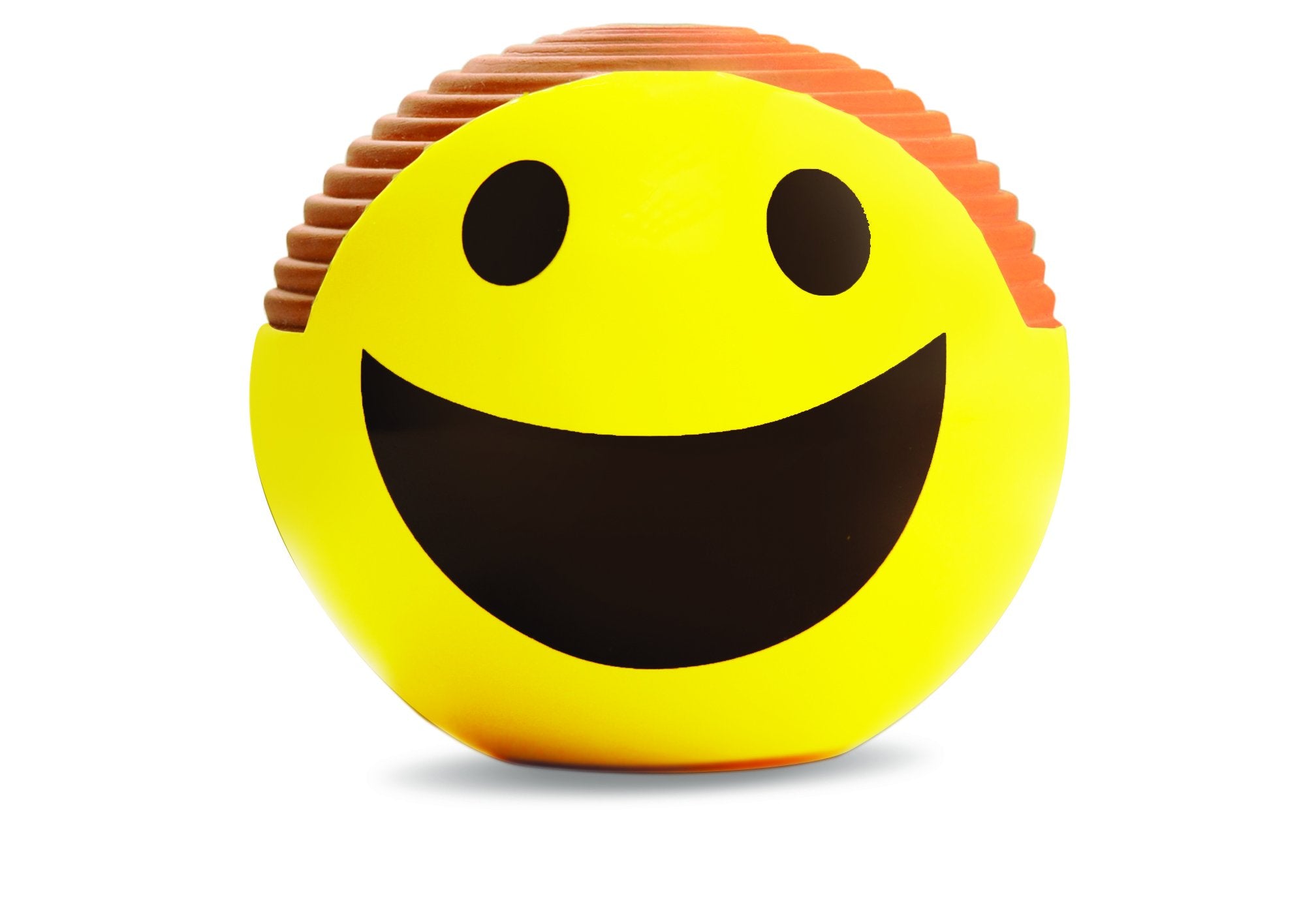 Chia Emoji Smiley Planter with lush green chia growth