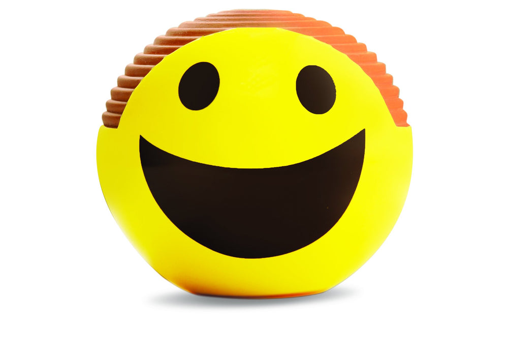 Chia Emoji Smiley Planter with lush green chia growth