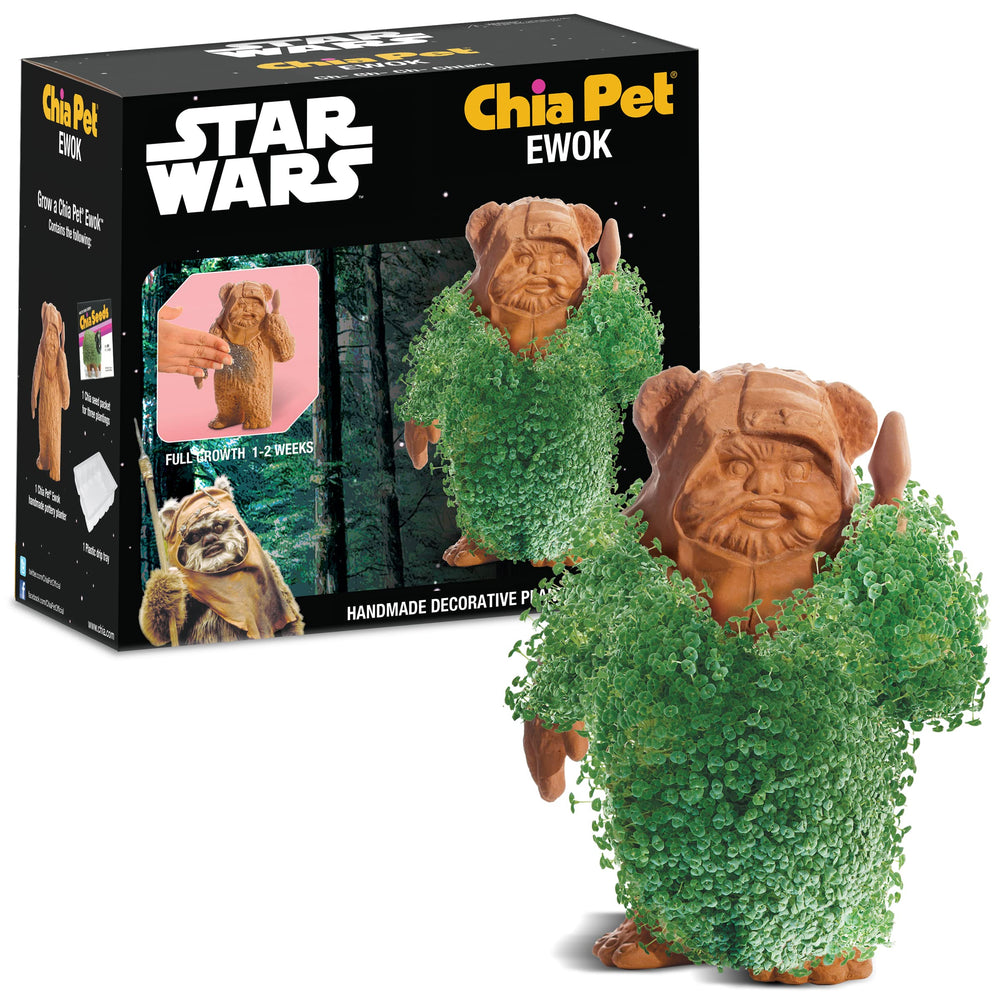 Chia Ewok Planter front view with terracotta finish