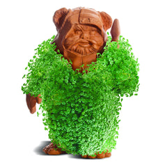 Chia Ewok Planter side view showcasing its design