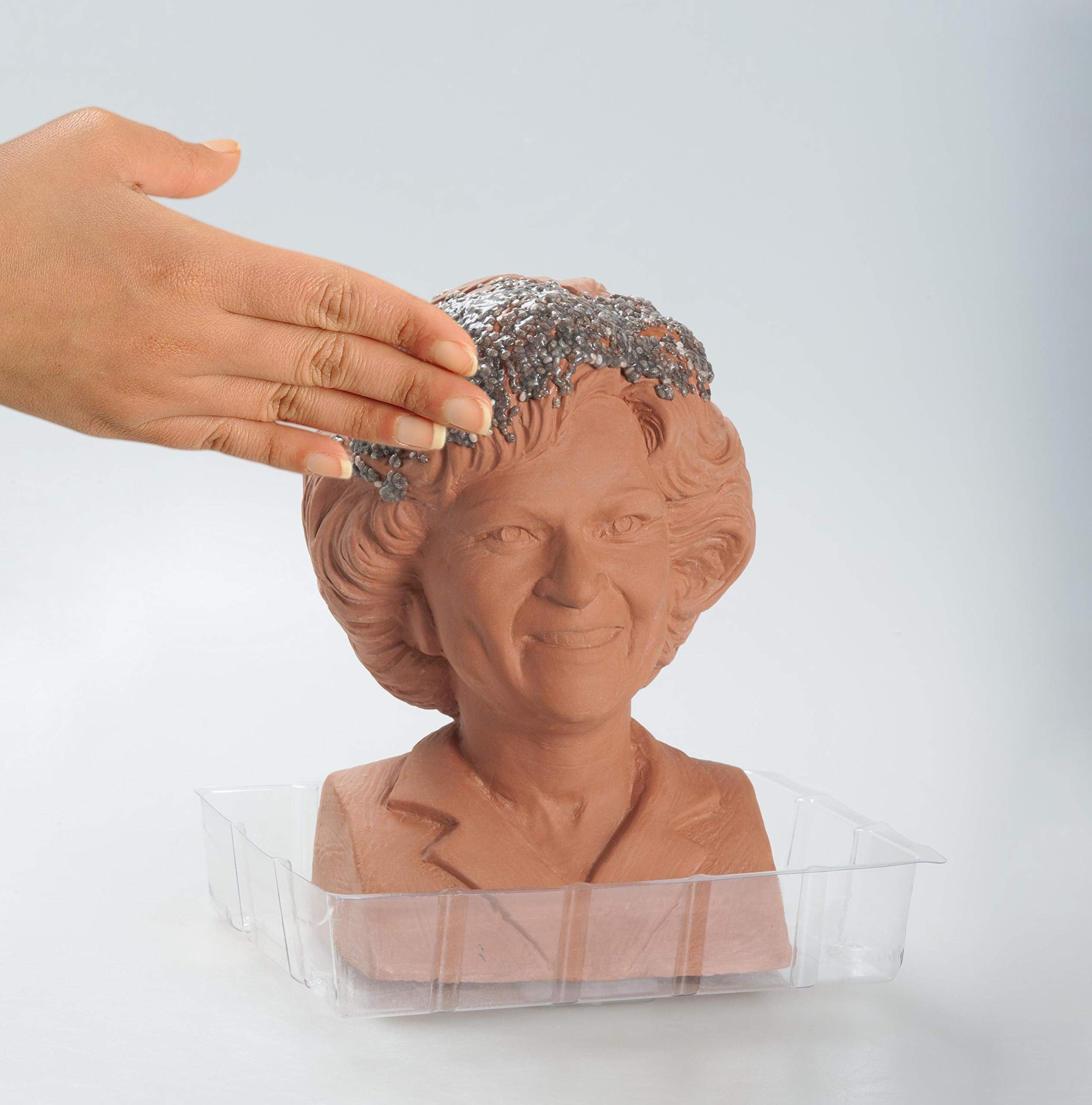 Chia Golden Girls Rose planter packaging