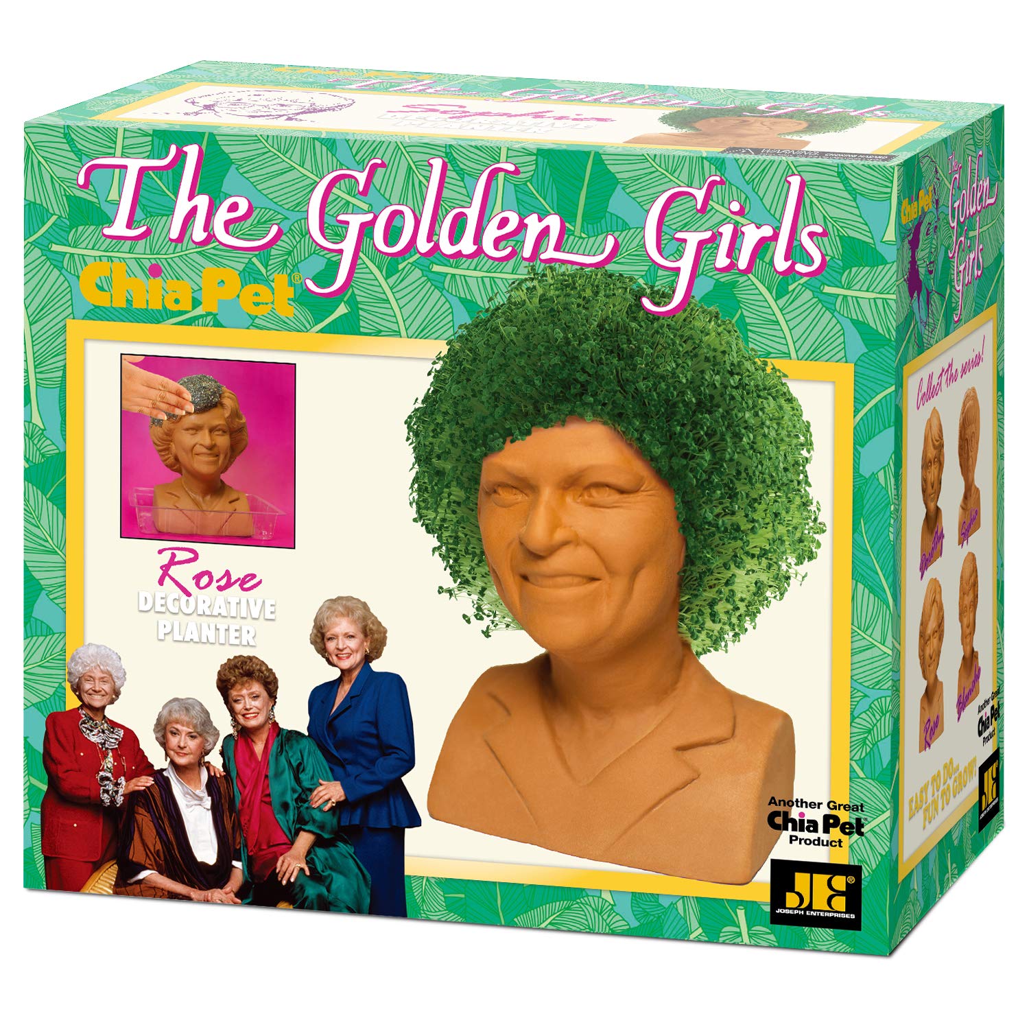 Chia Golden Girls Rose planter side view