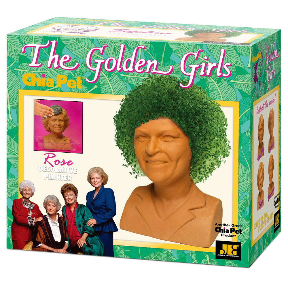 Chia Golden Girls Rose planter side view