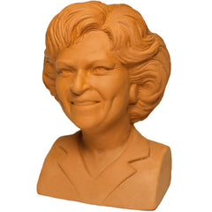 Chia Golden Girls Rose planter with full growth