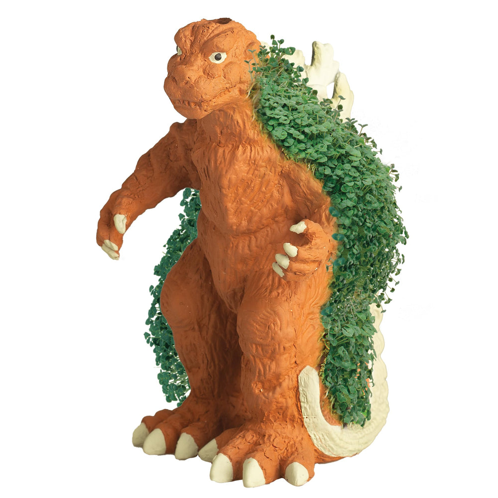 Chia Pet Godzilla planter in a kitchen setting with growing chia