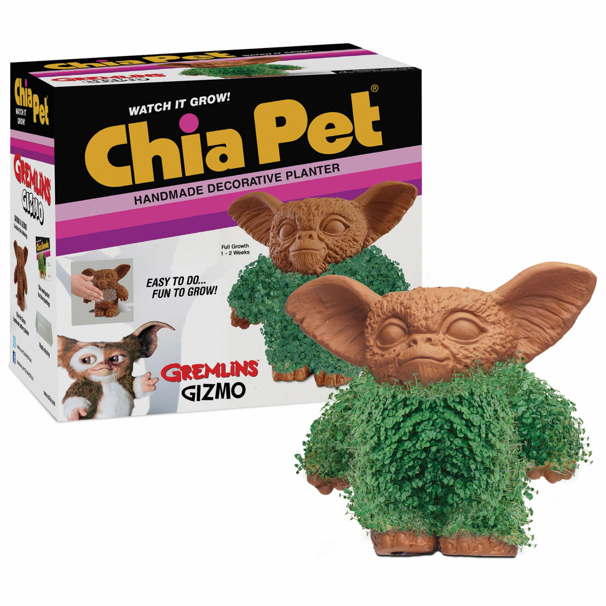Chia Pet Gremlins Gizmo terracotta planter with seeds
