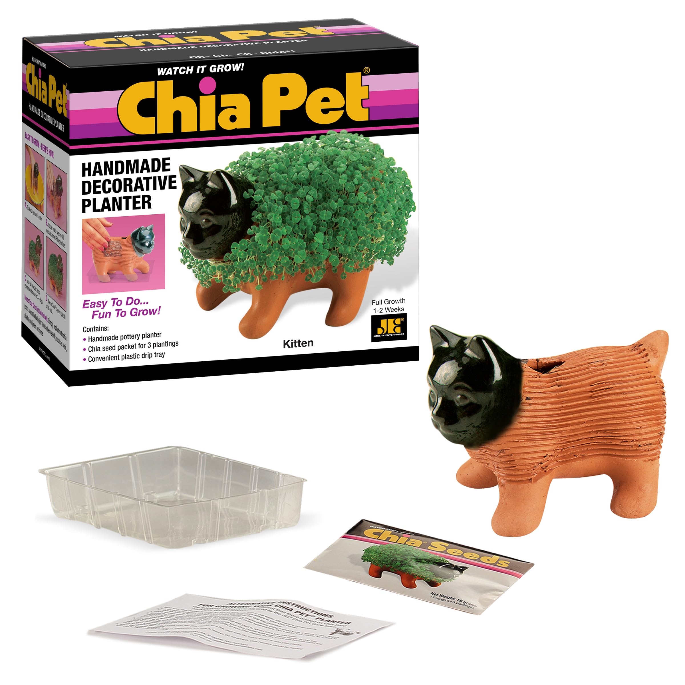 Chia Pet Kitten fully grown with green sprouts