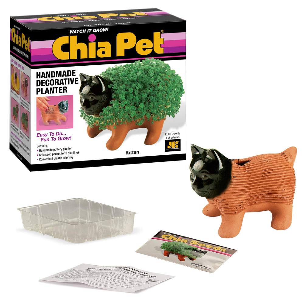 Chia Pet Kitten fully grown with green sprouts