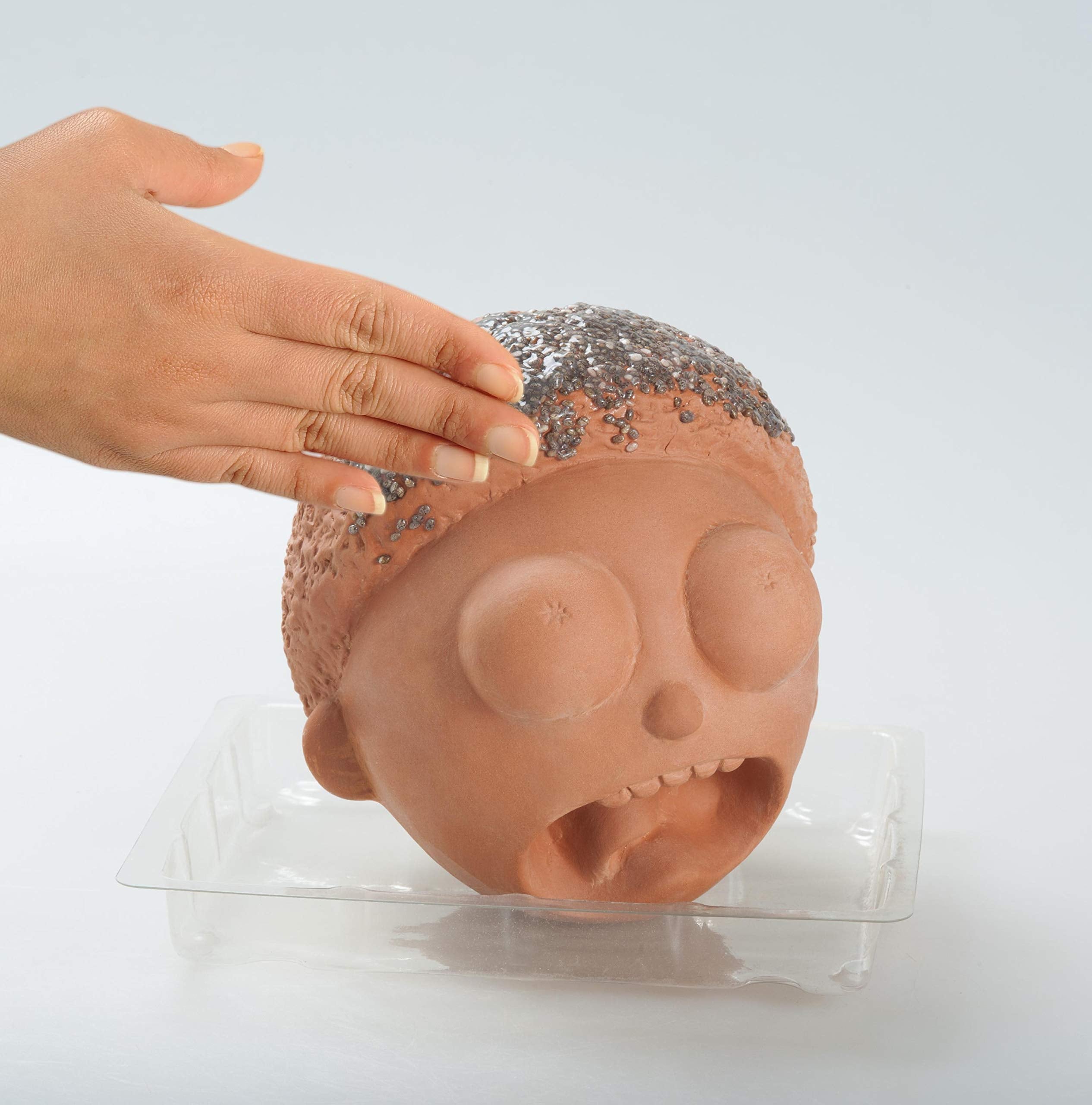 Chia Pet Morty planter with packaging and instructions