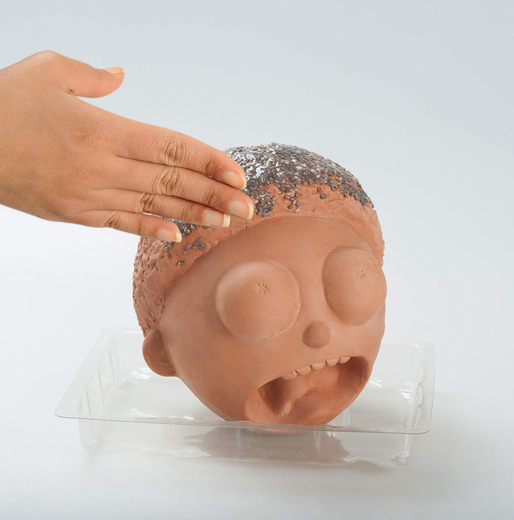 Chia Pet Morty planter with packaging and instructions