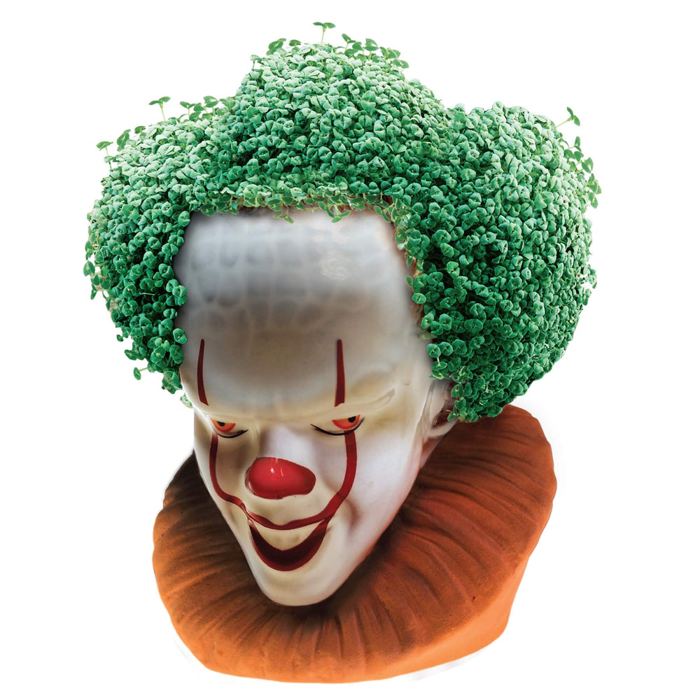 Chia Pet Pennywise planter with drip tray included