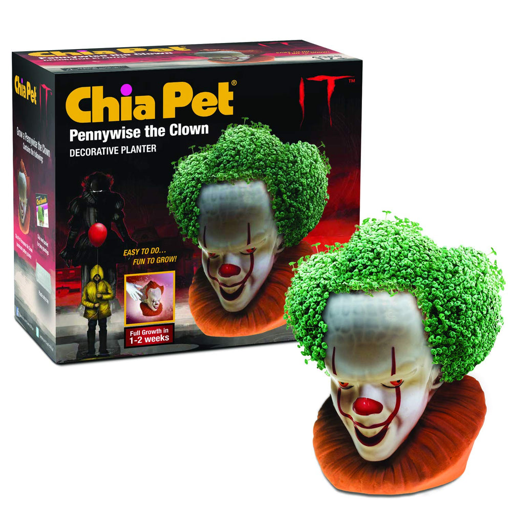 Chia Pet Pennywise terracotta planter front view with seeds