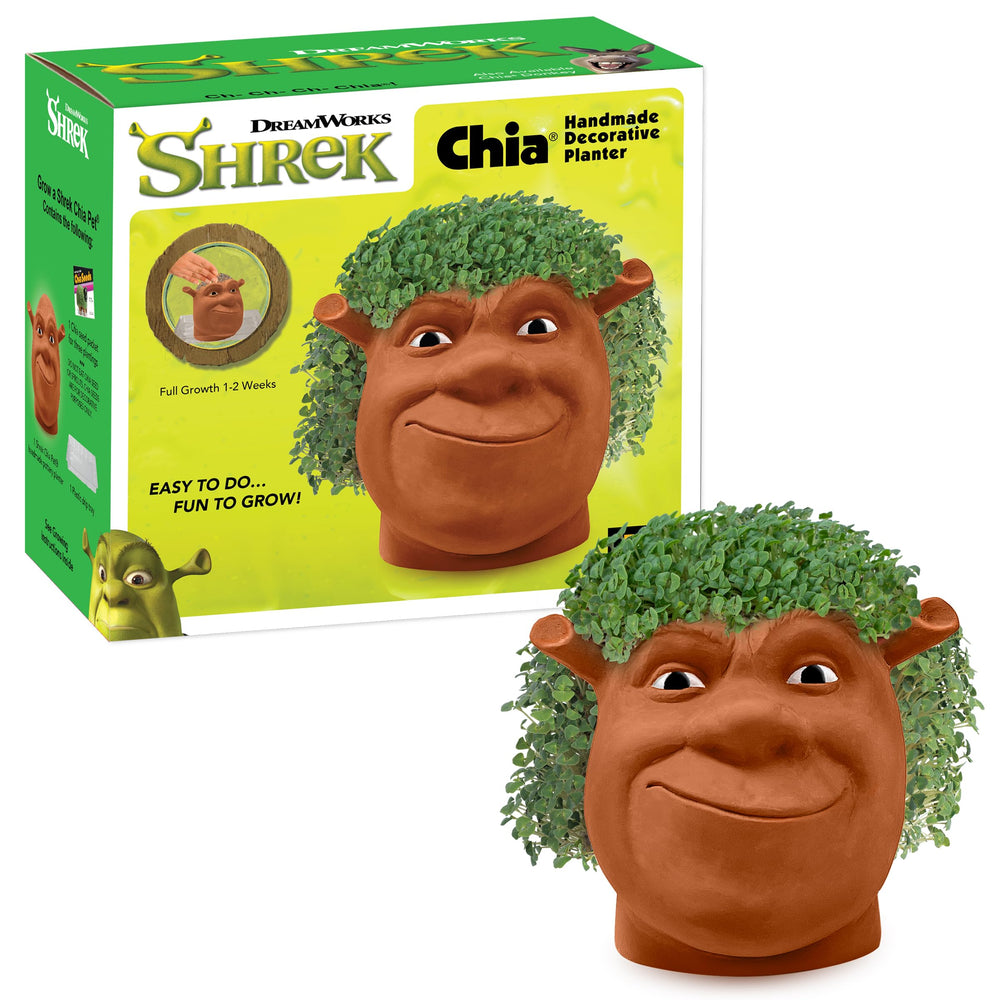 Chia Pet Shrek Planter ceramic front view with chia seeds