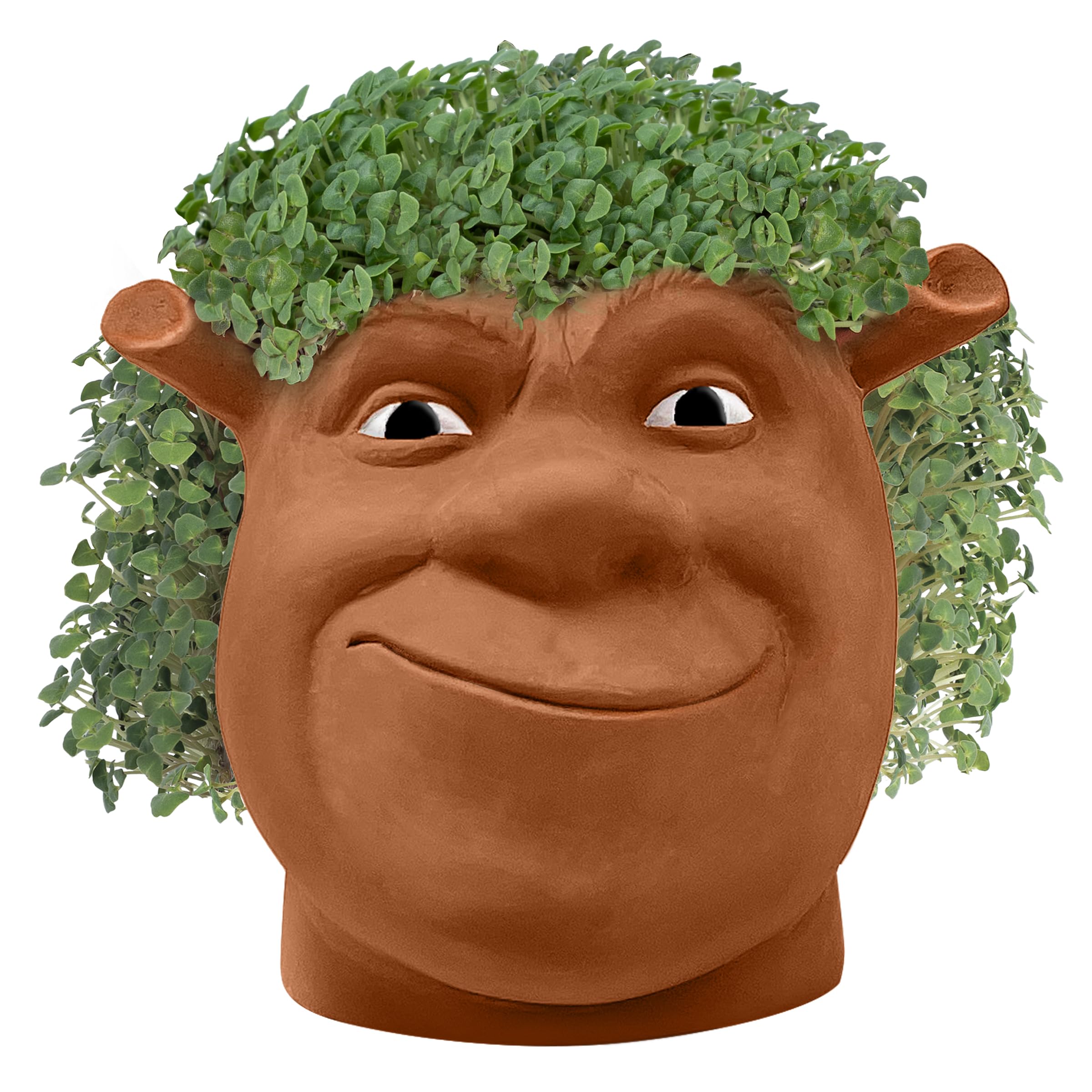 Chia Pet Shrek Planter with chia seeds packets