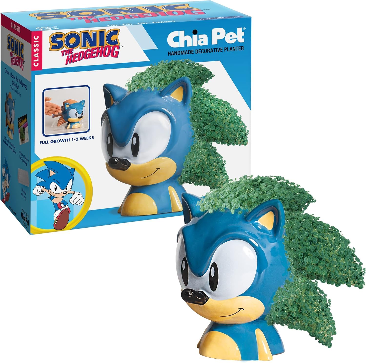Chia Pet Sonic the Hedgehog terracotta planter with chia seeds
