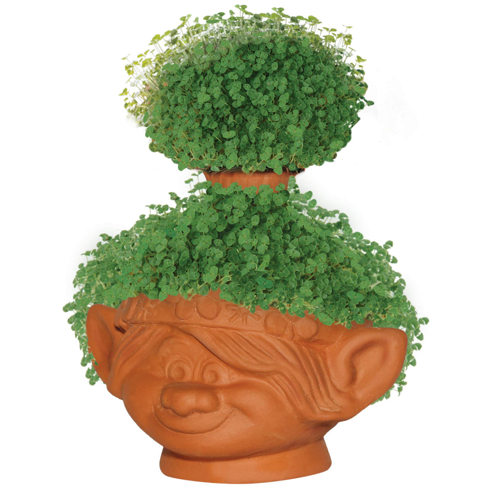 Chia Poppy planter in a garden setting with growing chia seeds
