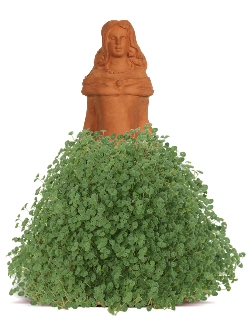 Chia seed packets included with planter
