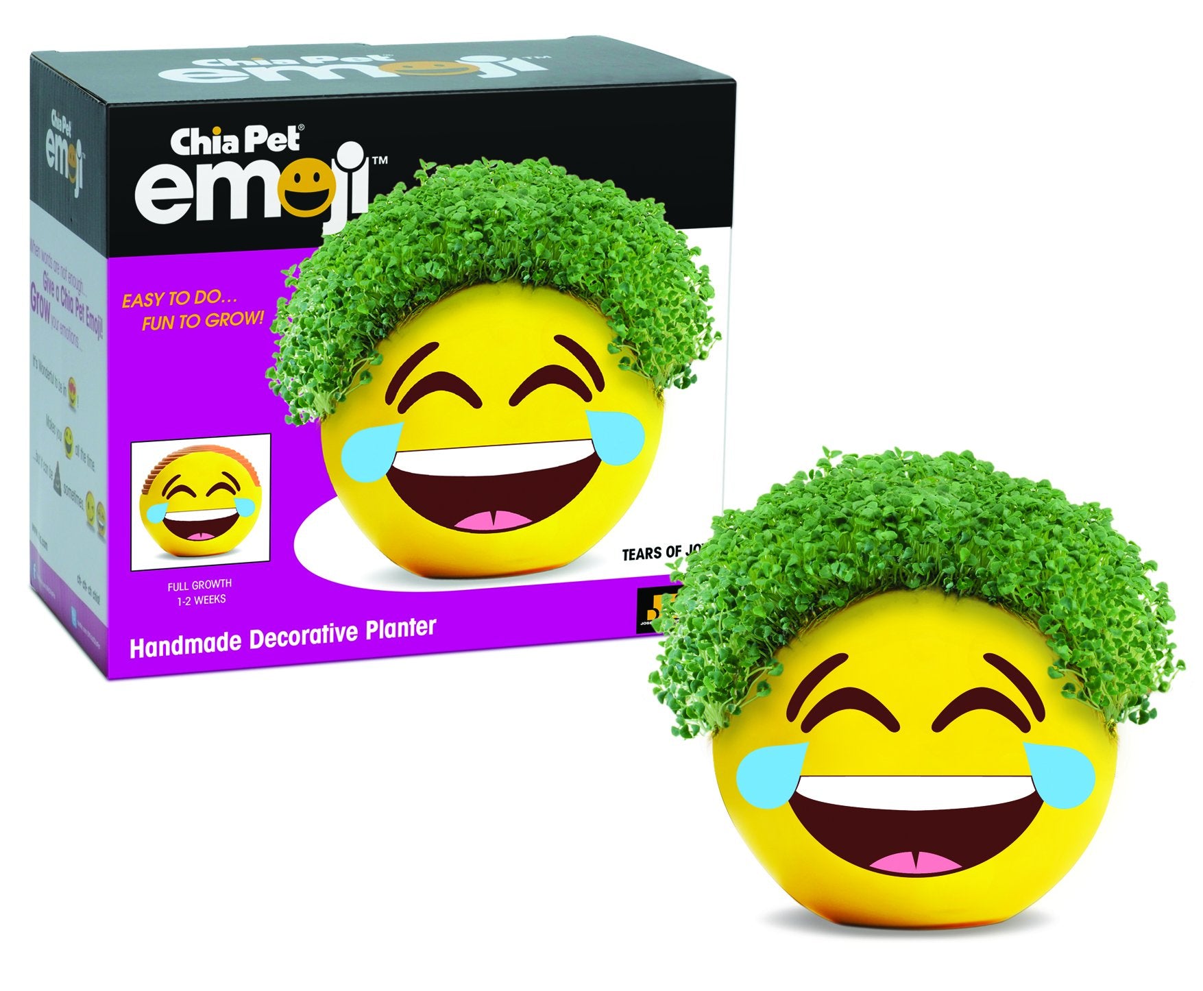 Chia Tears of Joy Emoji Planter front view with terracotta finish