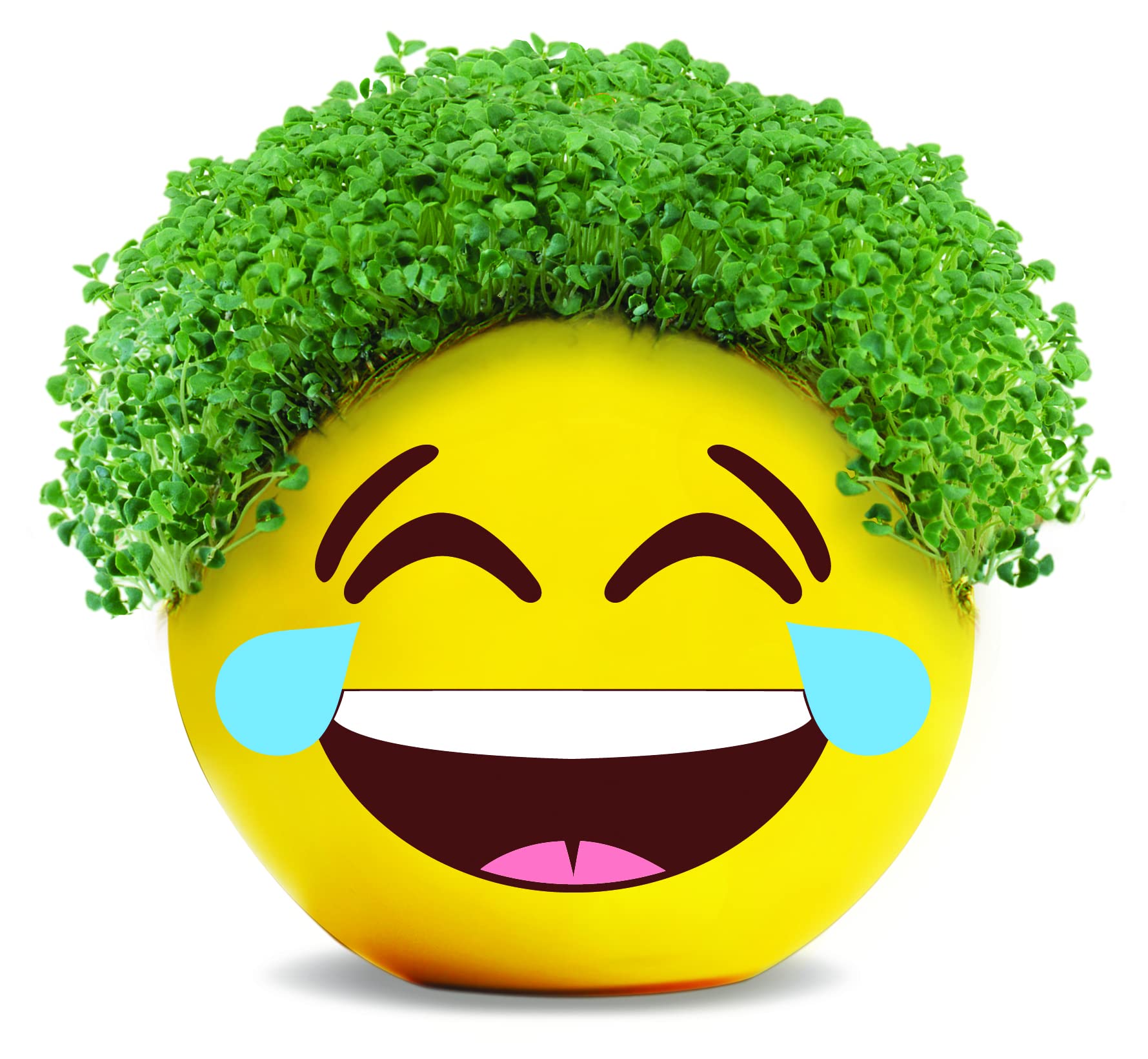 Chia Tears of Joy Emoji Planter with seed packets and drip tray