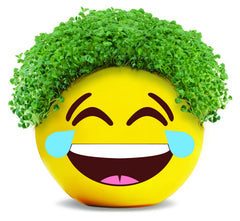 Chia Tears of Joy Emoji Planter with seed packets and drip tray
